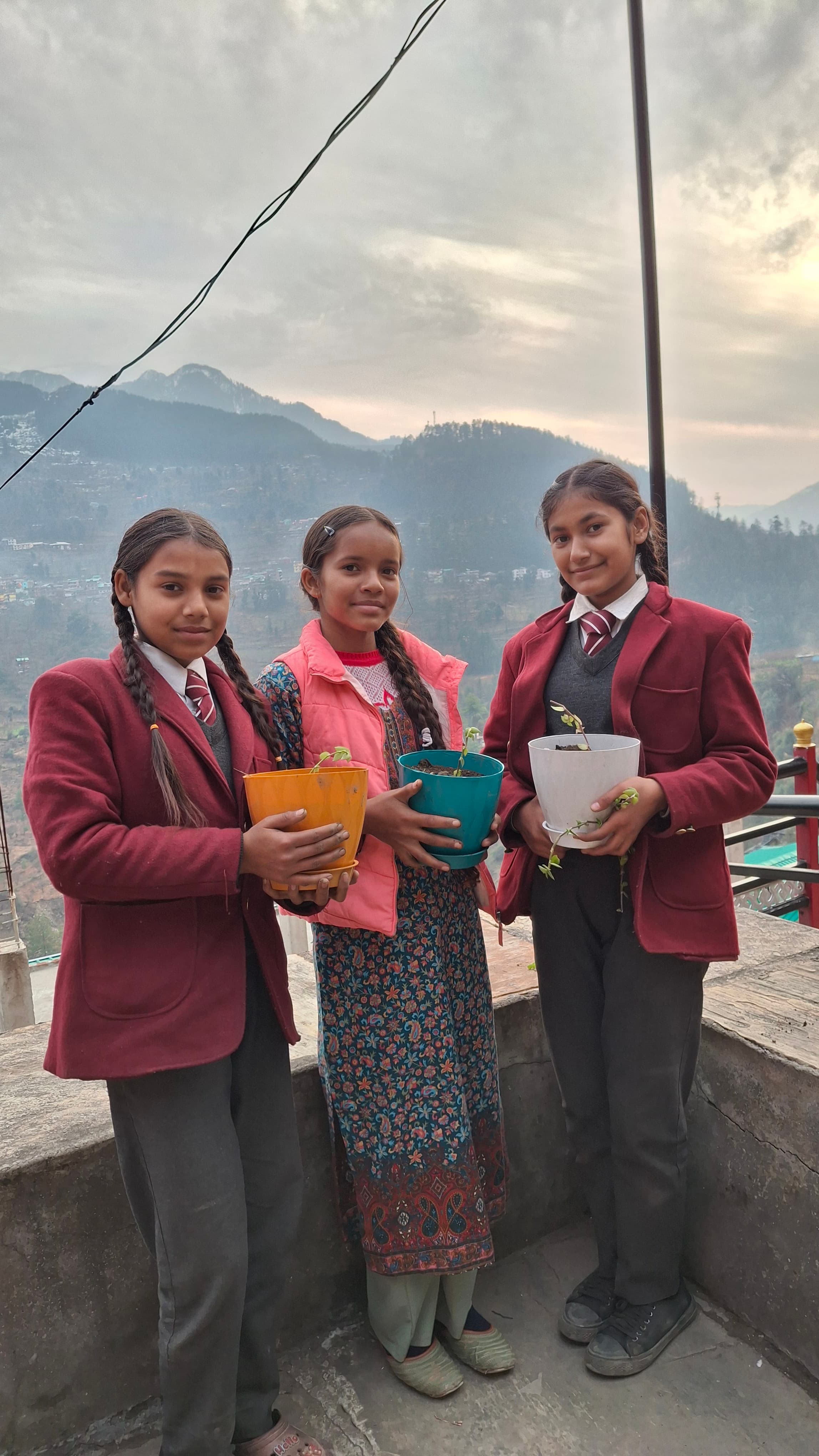 Cleanliness & Environment